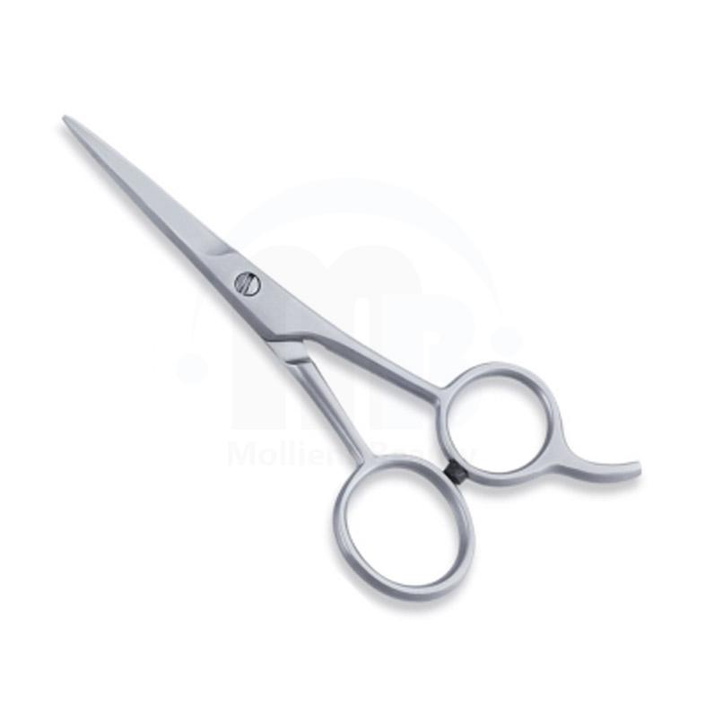  Economy Hair Scissors