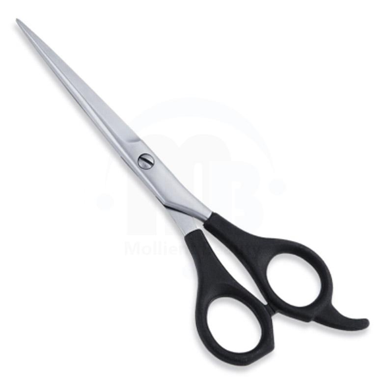  Economy Hair Scissors