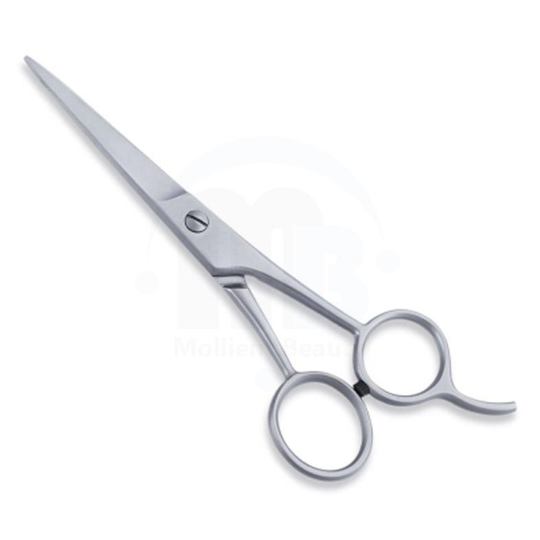  Economy Hair Scissors