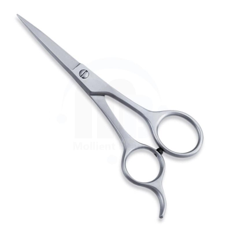  Economy Hair Scissors