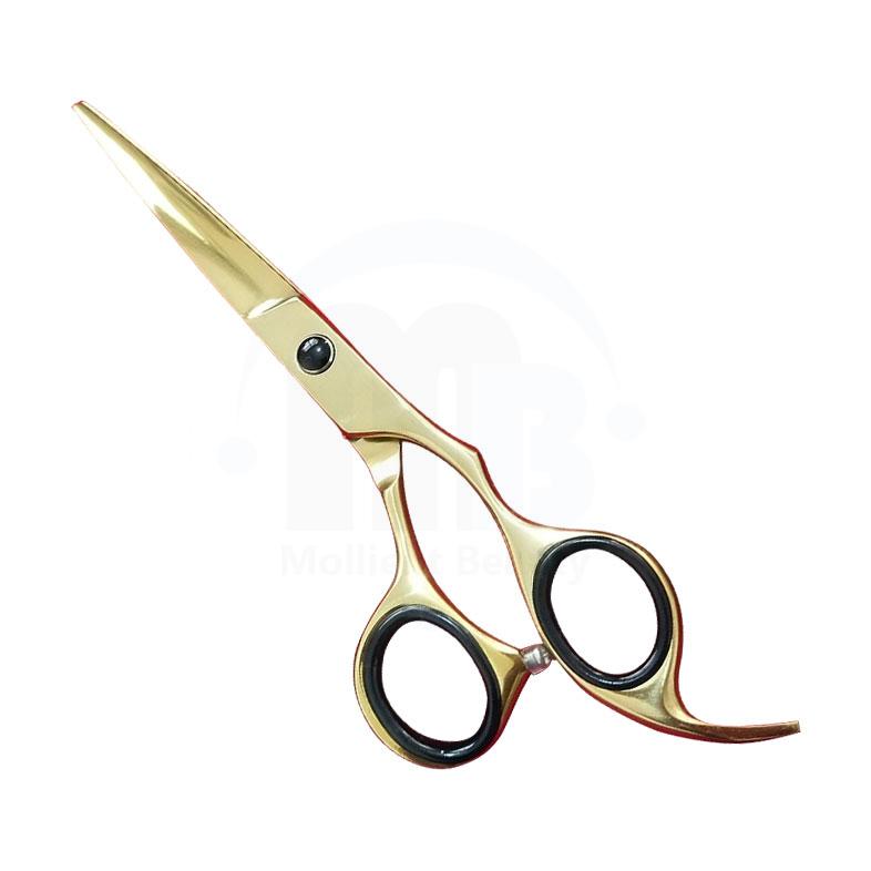 Barber Scissors  TITANIUM COATING  